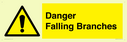 danger-falling-branches~